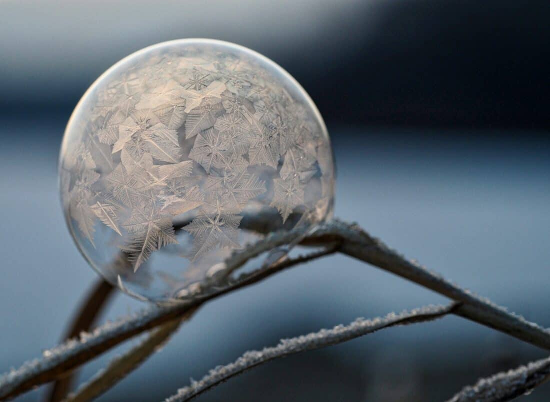 a frozen garden bubble 