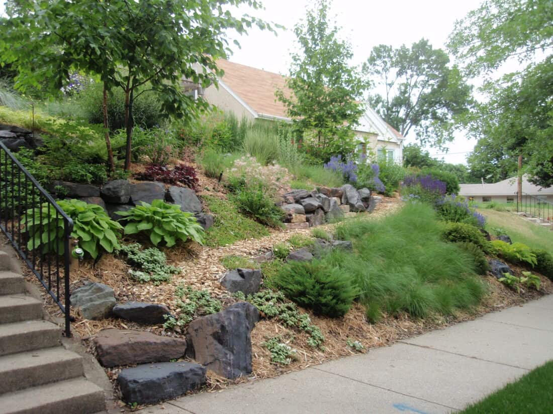 A sloping front garden with Prairies Dropseed (a no-mow native grass) to hold the hillside. 