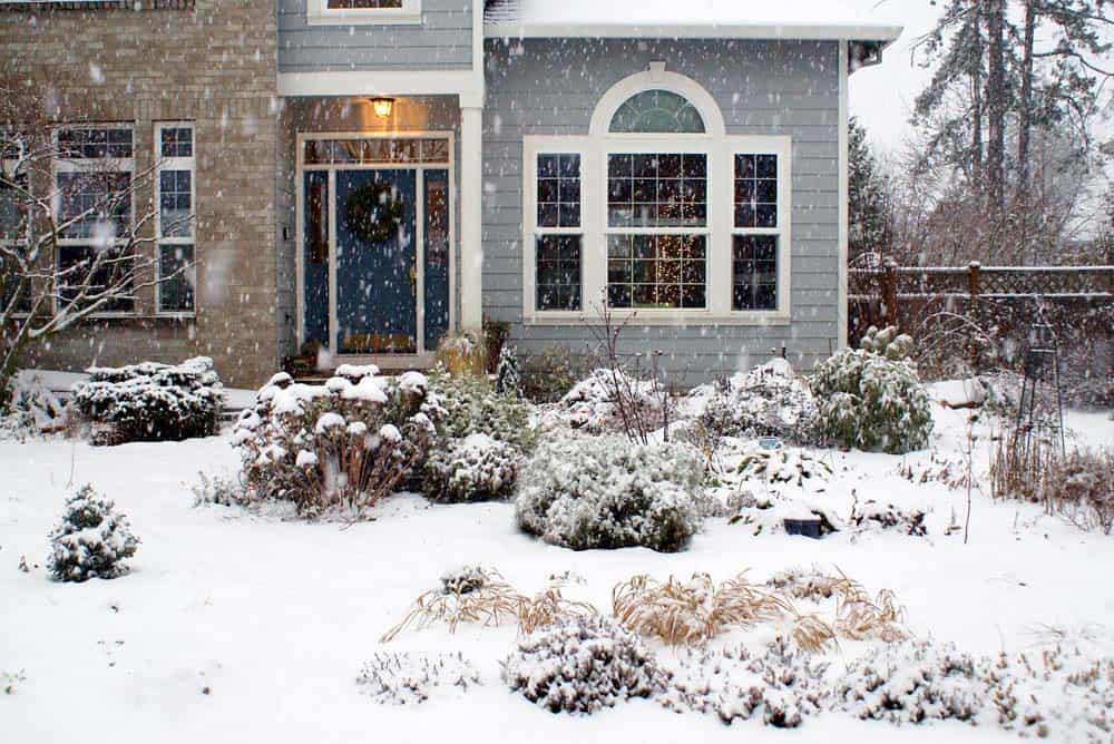 December of Year #3. - the front garden under snow