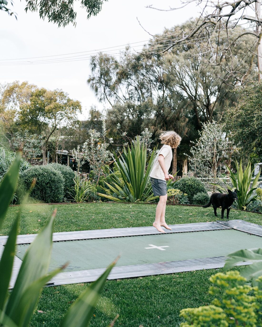 A child with curly hair jumps barefoot on a built-in trampoline in a lush garden play area, while a black dog stands nearby on the grass. Greenery and trees surround them under a cloudy sky—perfect inspiration for creative play area ideas. A child with curly hair jumps barefoot on a built-in trampoline in a lush garden play area, while a black dog stands nearby on the grass. Greenery and trees surround them under a cloudy sky—perfect inspiration for creative play area ideas.
