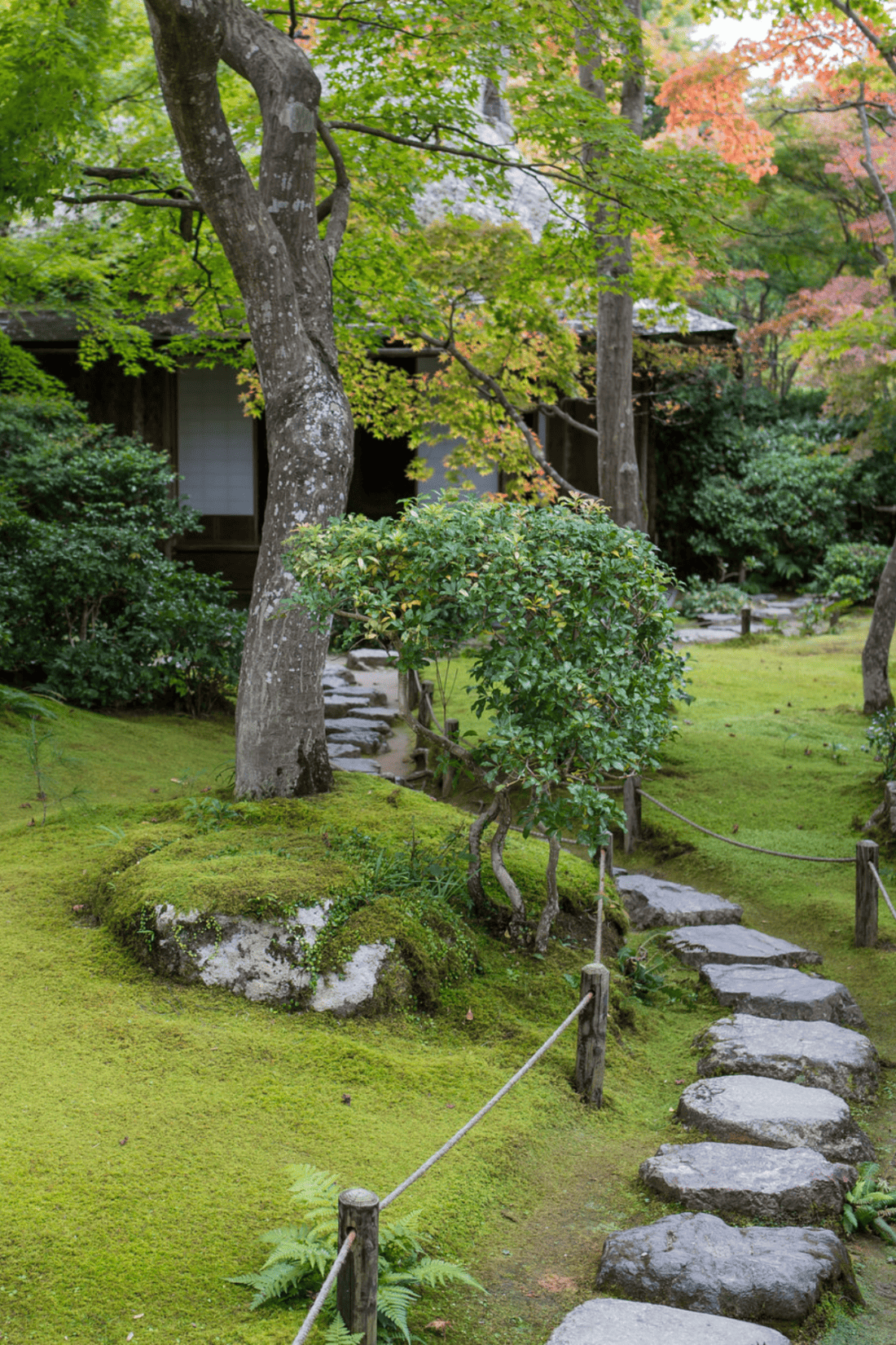 Japanese garden in kyoto, japanese garden in kyoto, japanese garden with a moss lawn.