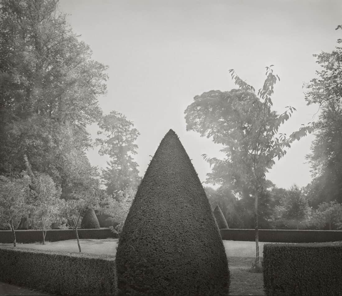 A black and white photo of a hedge in a garden.
