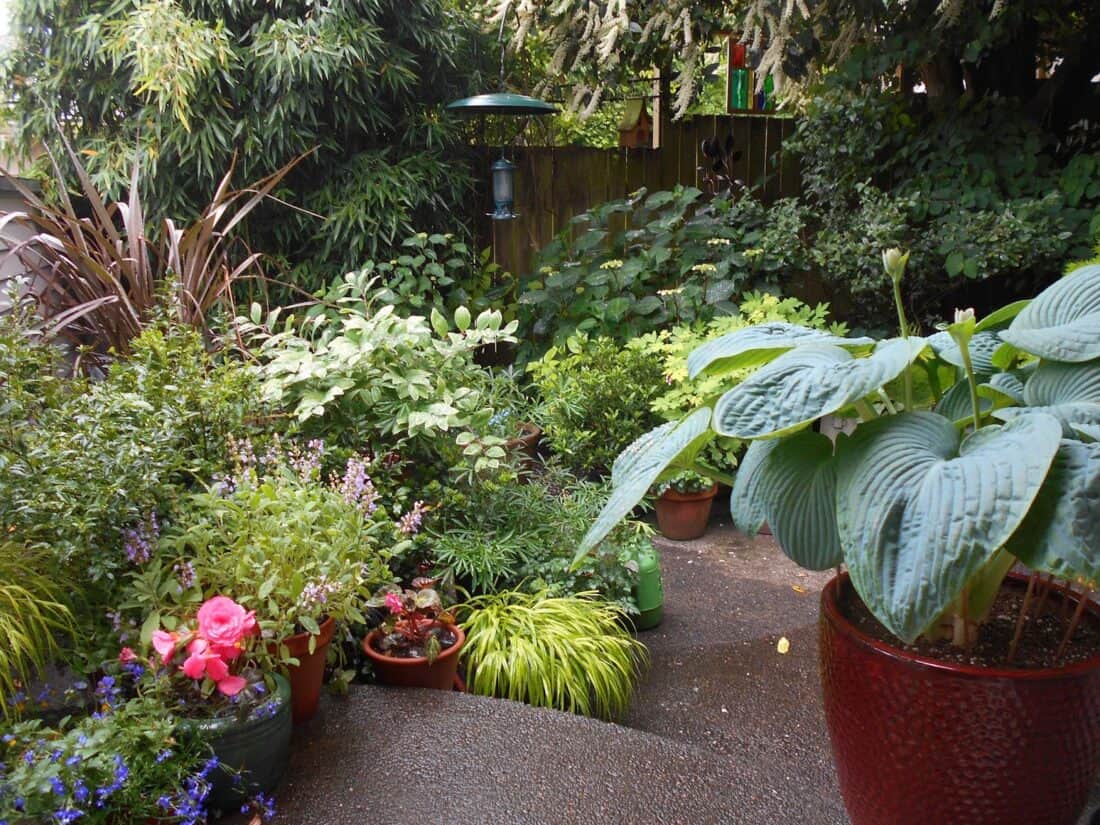 A garden with a lot of potted plants.