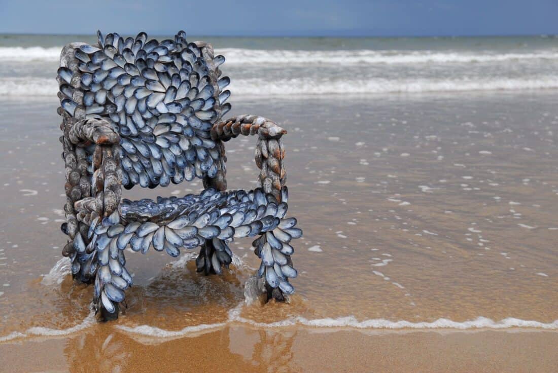 A chair made of shells on the beach.