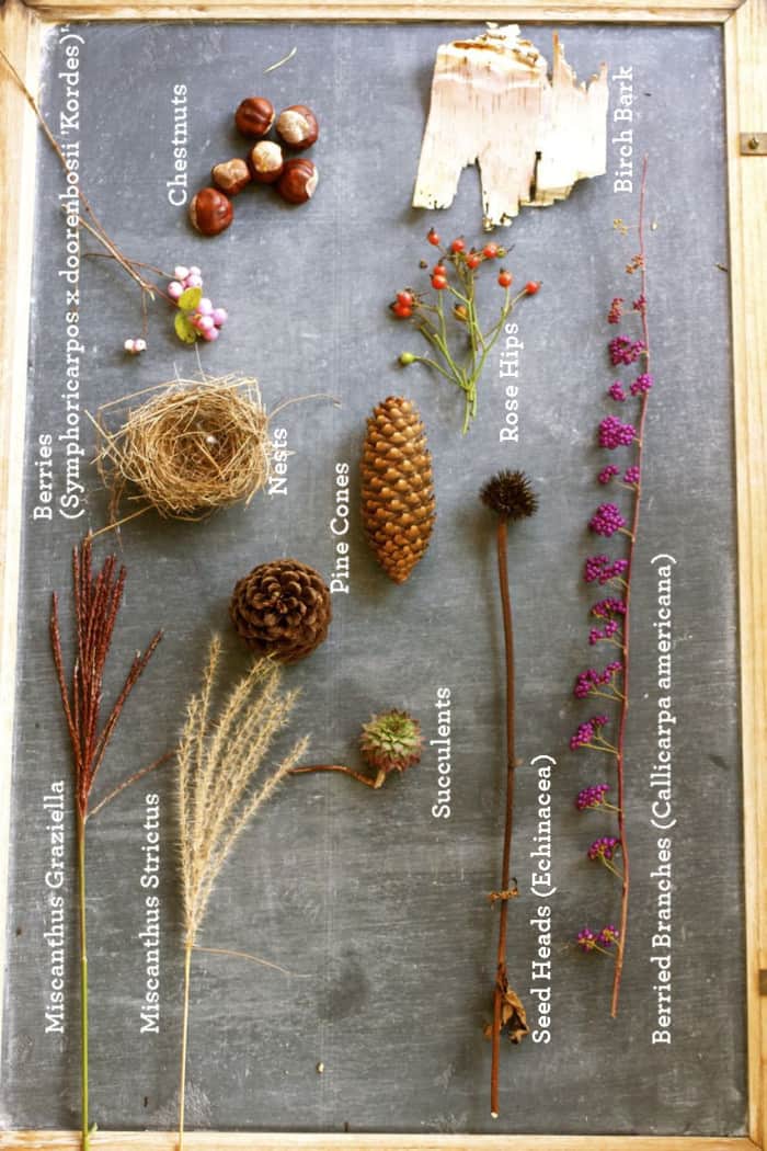 A chalkboard with a variety of dried flowers and pine cones.