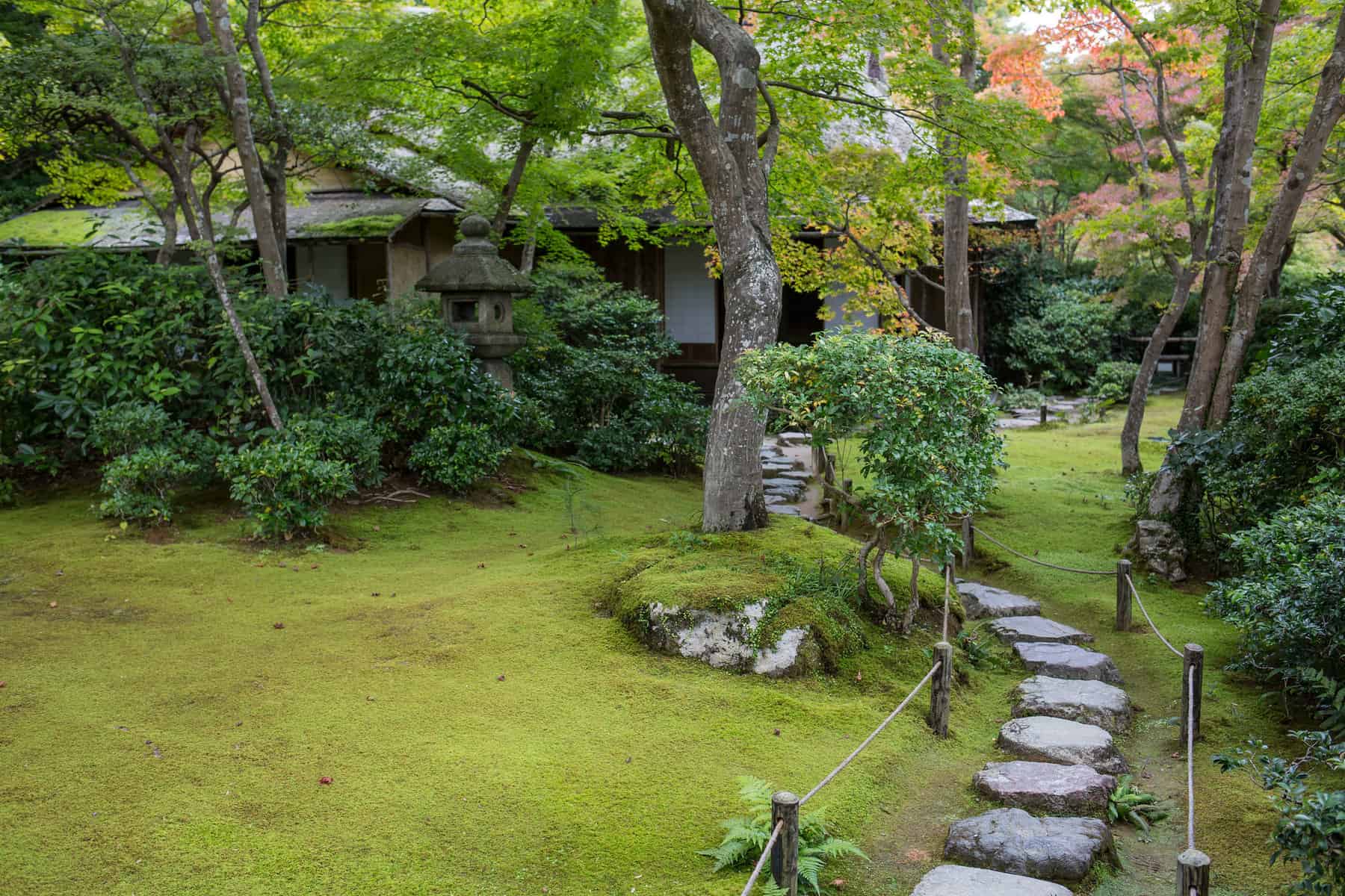Explore the enchanting beauty of the Japanese garden in Kyoto, with its serene moss lawn and traditional elements. tranquility and elegance in this Japanese garden