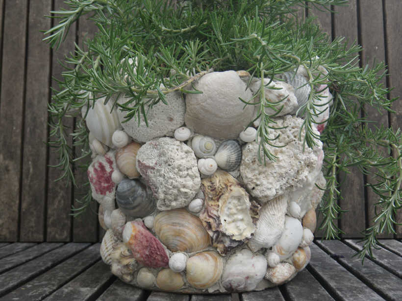 A planter made out of shells and seashells.