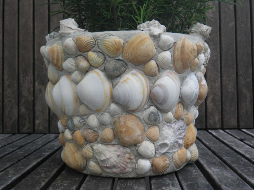 A planter made of sea shells on a wooden table.