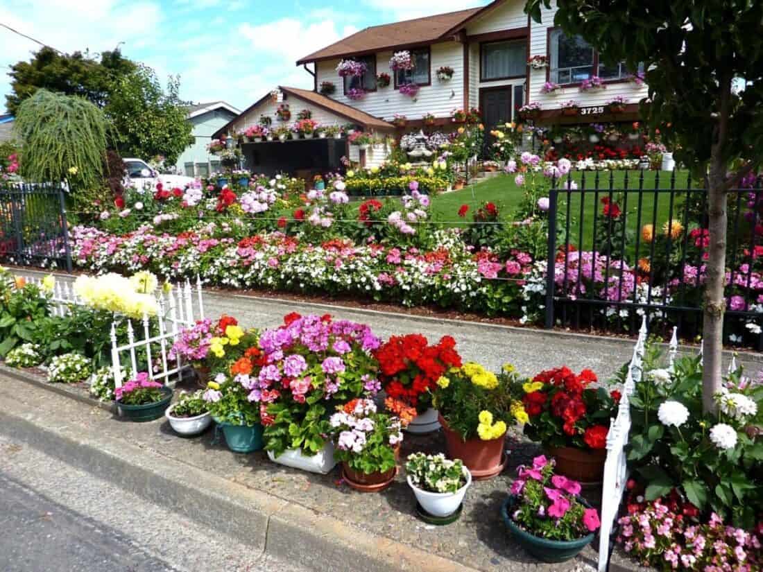 A street with many potted flowers in front of a house.