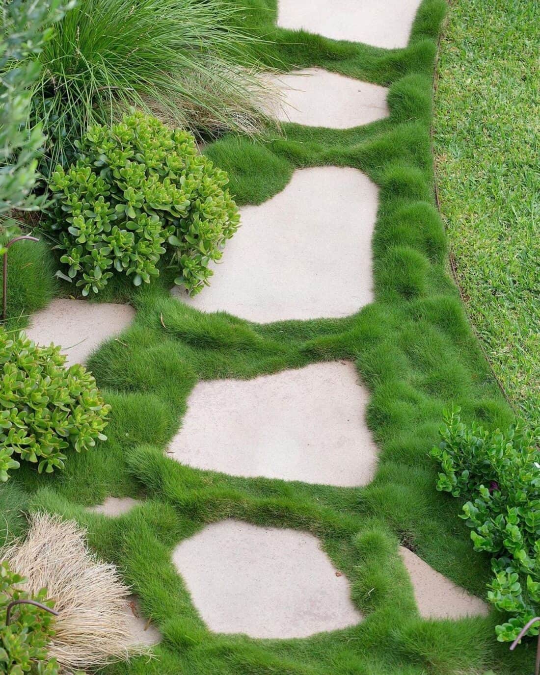A stepping stone path in a garden with grass.