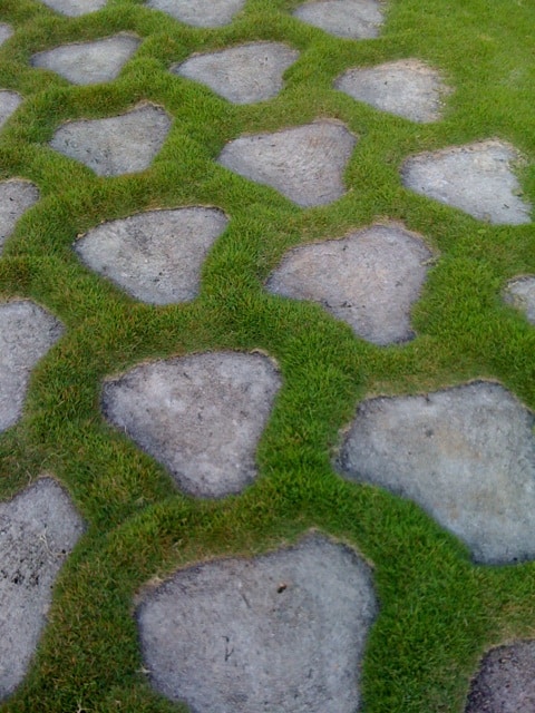A walkway made of stones with grass in the middle.
