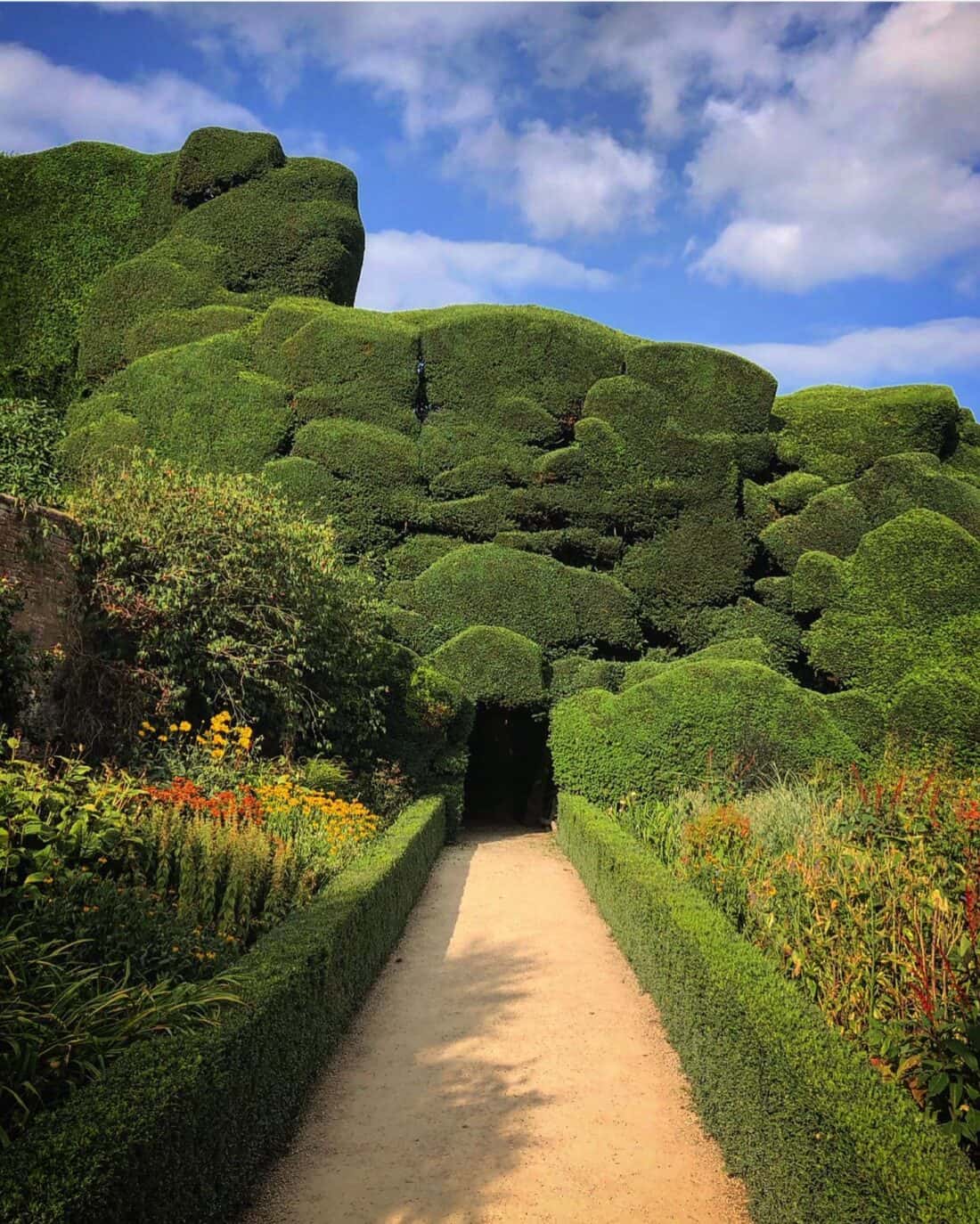 A path through a hedge.