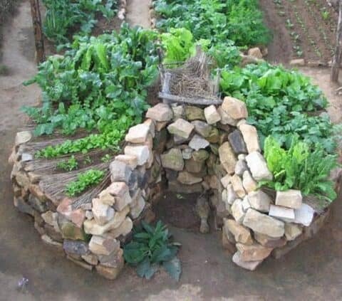 A stone structure with plants growing in it.