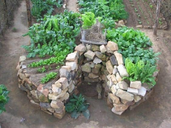 A stone structure with plants growing in it.