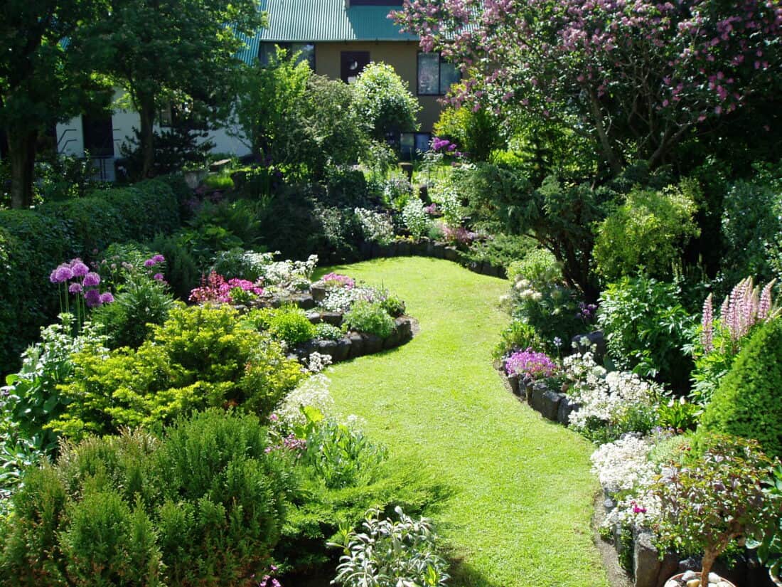 A garden with bushes and flowers in it.