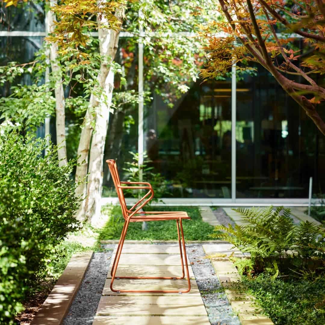 A chair in a garden.