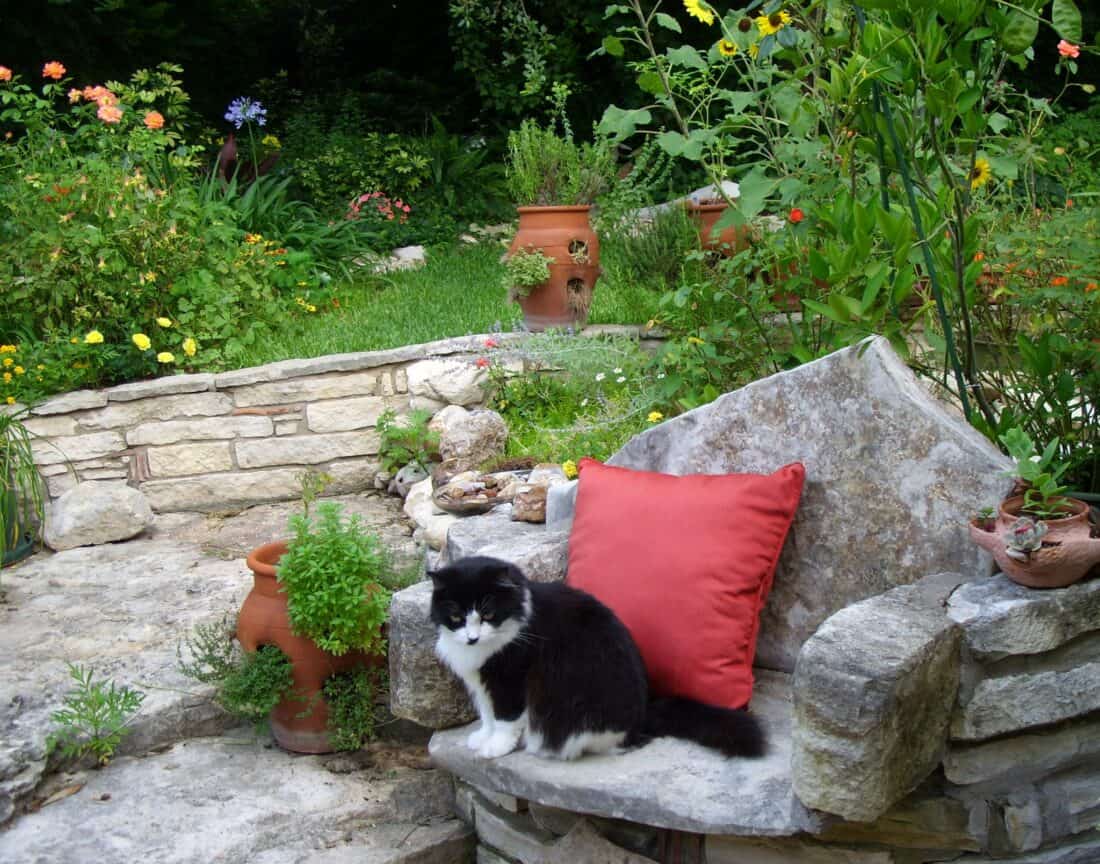 A cat sitting on a stone bench.