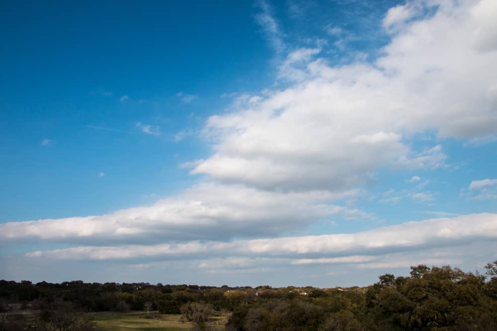A man is flying a kite at the Lady Bird Johnson Wildflower Center field.
