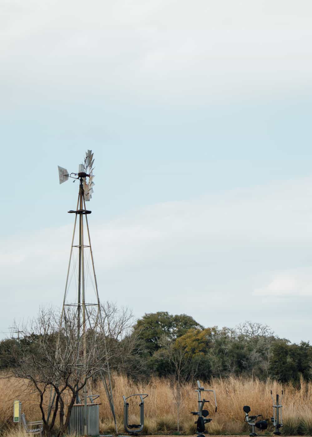 A windmill stands in the field at Lady Bird Johnson Wildflower Center.