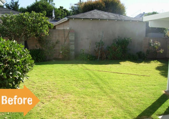 A backyard with grass and bushes before and after.