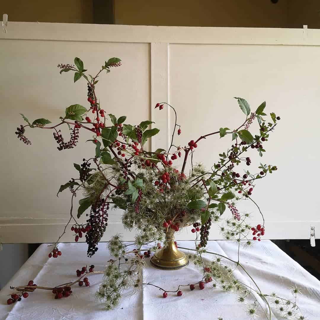 An arrangement of berries and berries on a table.