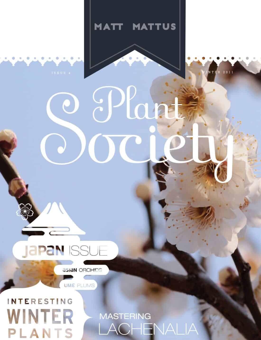 Cover of 'plant society' magazine featuring close-up photography of white blossoms, focusing on japanese winter plants.