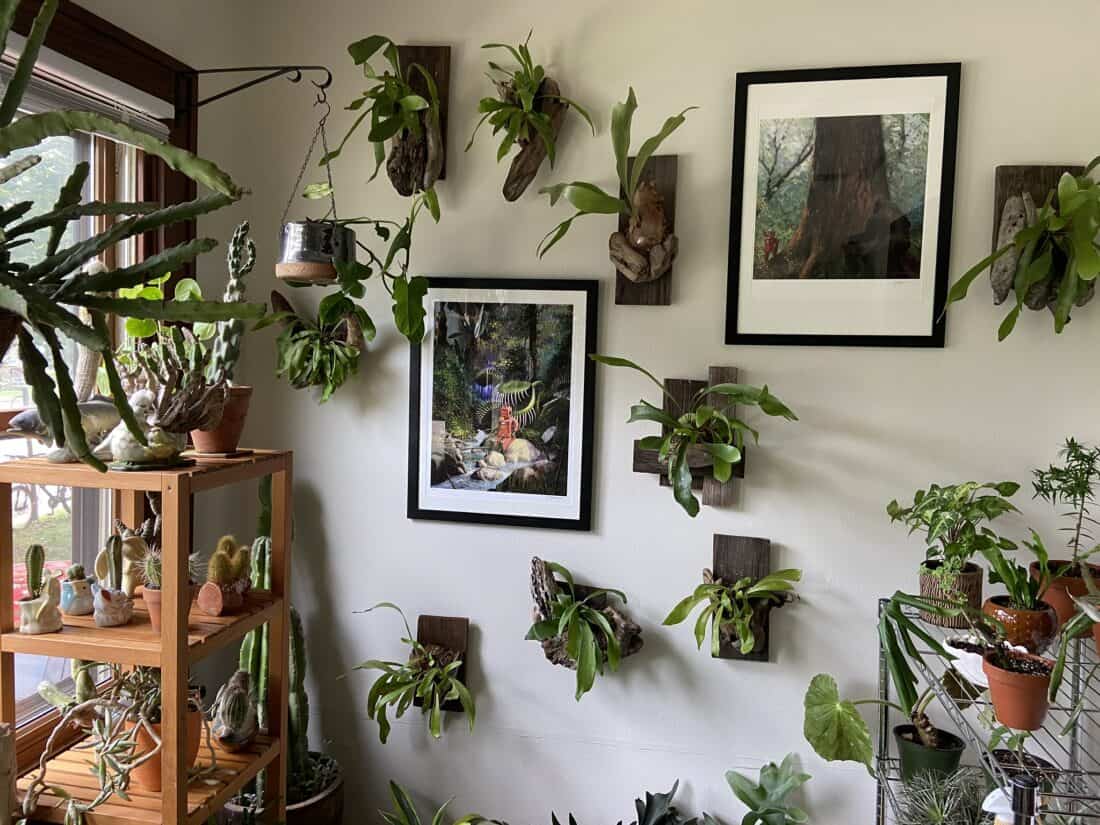 A cozy indoor space filled with a variety of potted plants and wall-mounted planters, complemented by framed artwork on the walls.