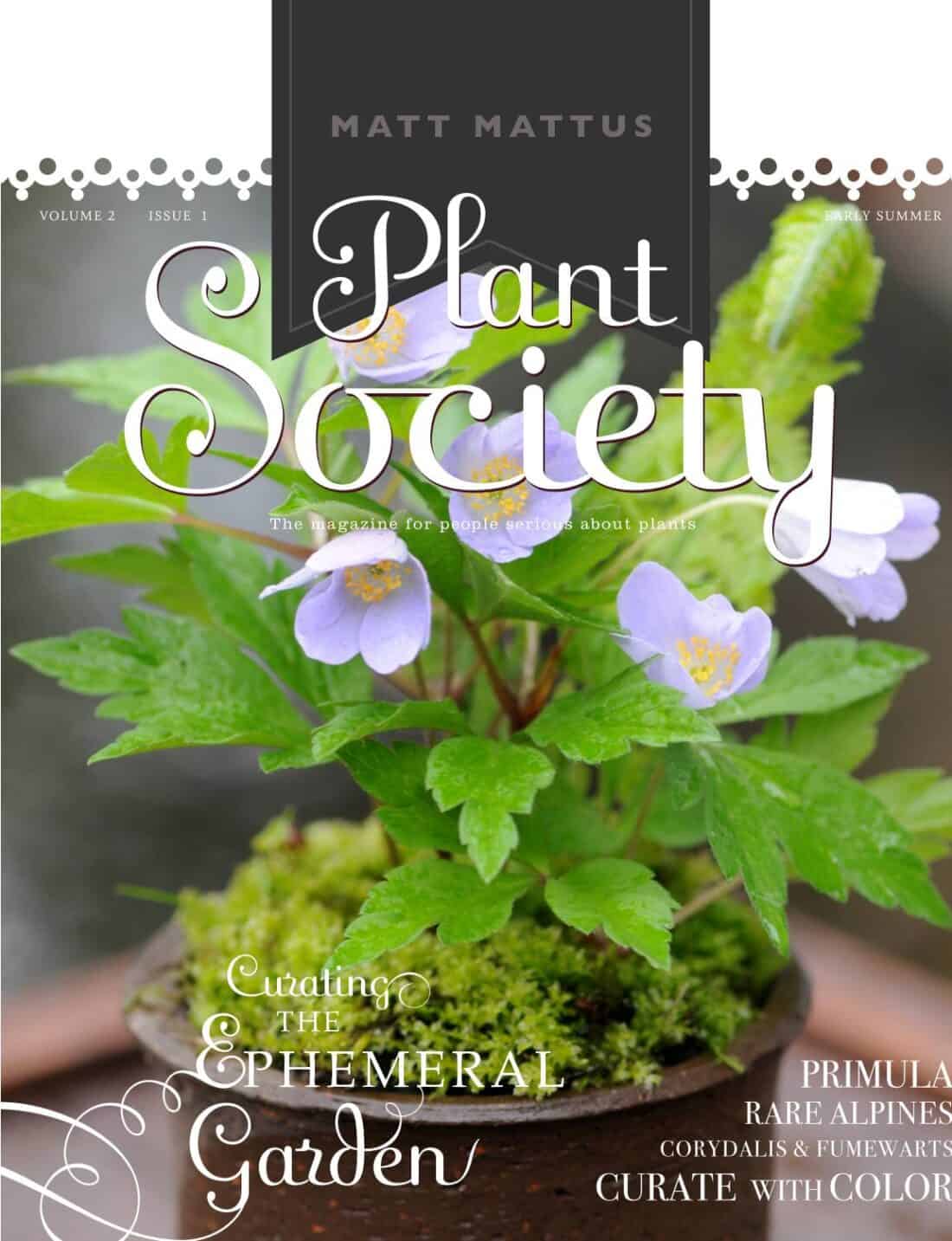 Cover of "plant society" magazine featuring an article on ephemeral gardens and showcasing primula and other alpine plants.