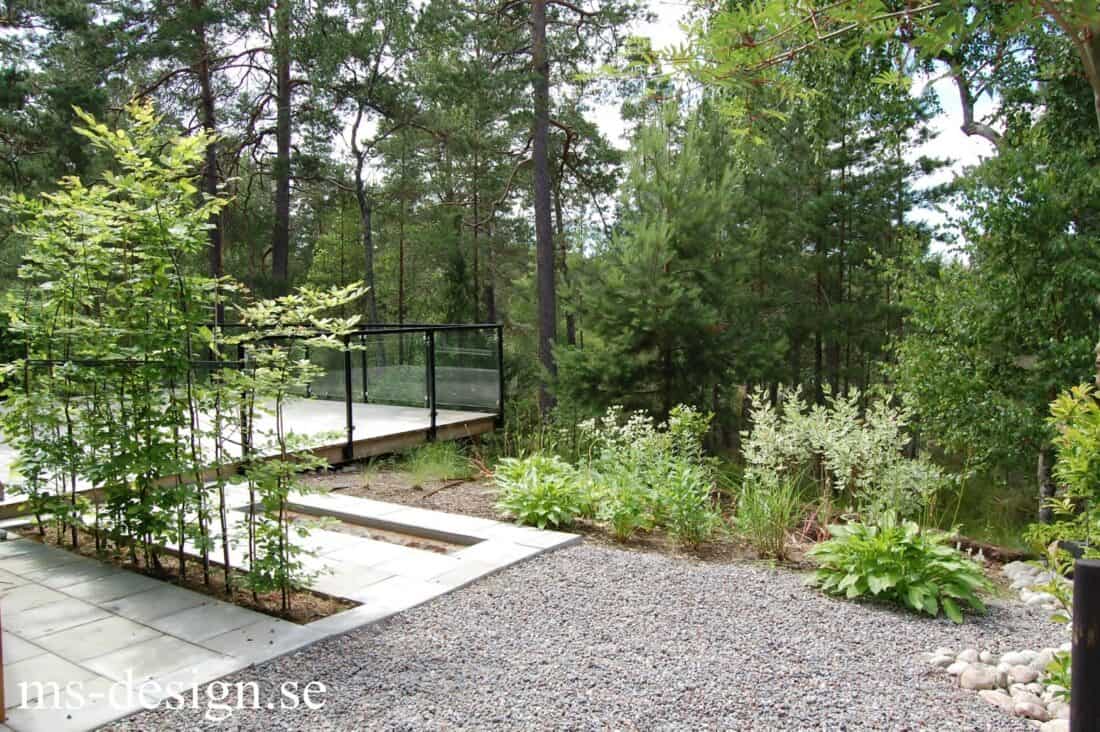 A side yard garden with gravel and trees in the background.