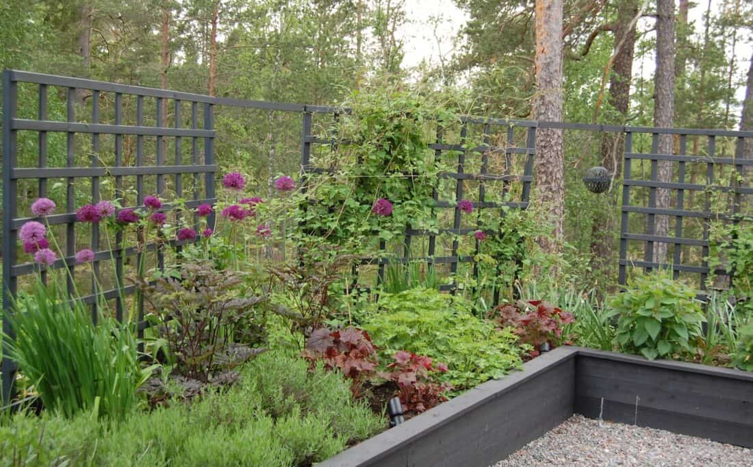A garden makeover with a wooden fence and plants in the side yard.