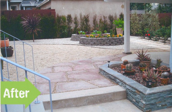 A backyard with cactus plants and a stone walkway.