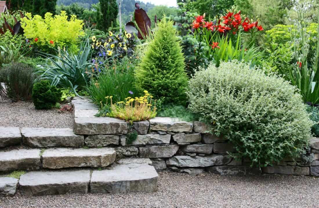 Stone steps leading into a lush garden with a variety of flowering plants and shrubs.