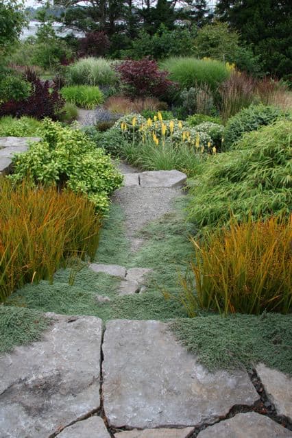 A winding garden path lined with assorted plants and flowers.