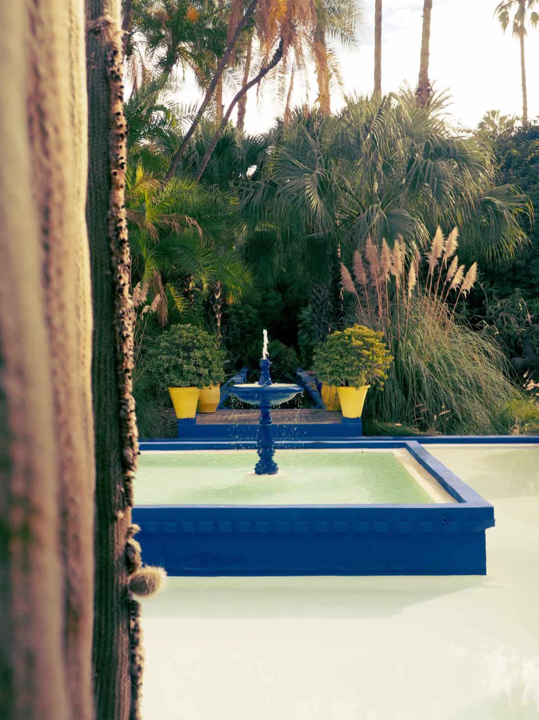 A tranquil fountain surrounded by lush greenery and palm trees, viewed from behind a textured curtain.
