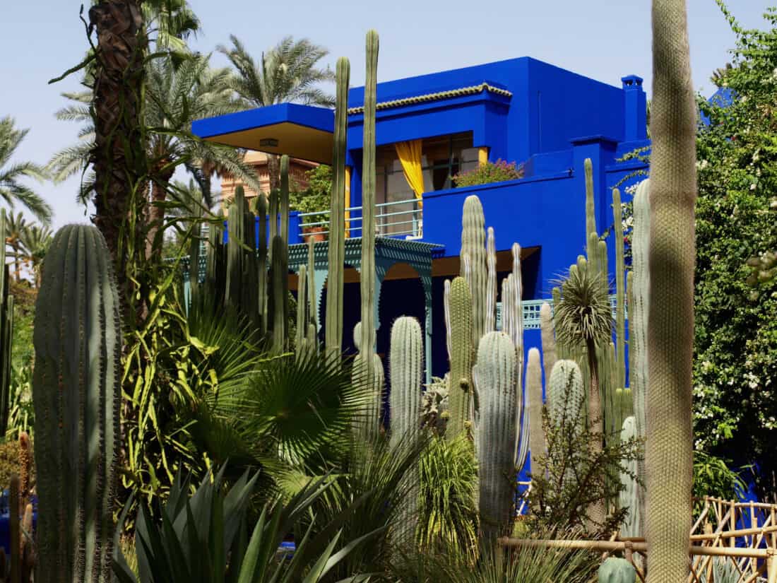 Vibrant blue building in Majorelle Garden surrounded by tall cactus plants.