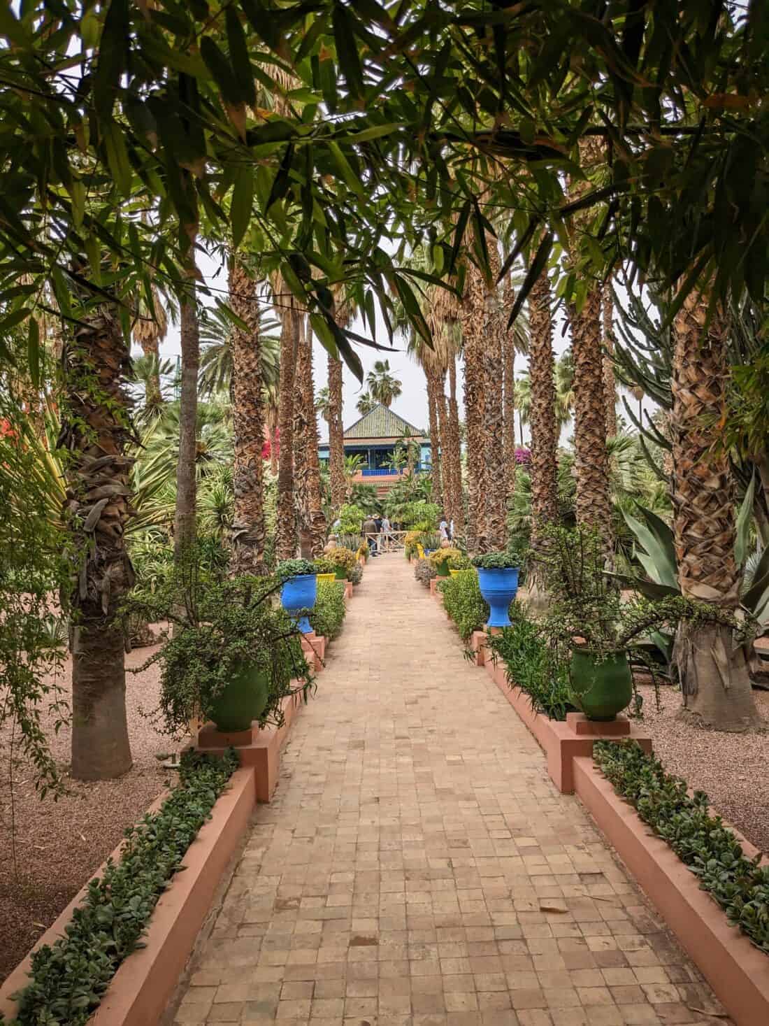 A pathway lined with palm trees and blue planters leading to a building in a garden.