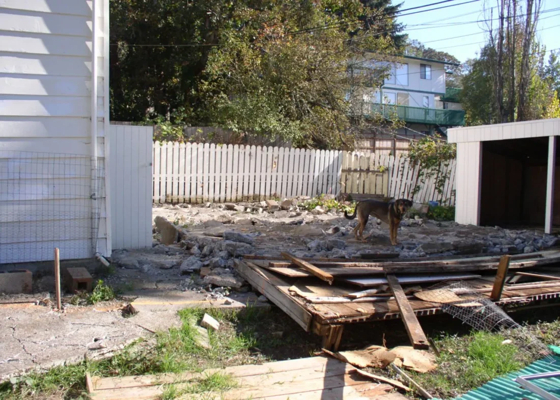 A dog standing in a disorderly backyard with construction debris and a dismantled wooden structure.
