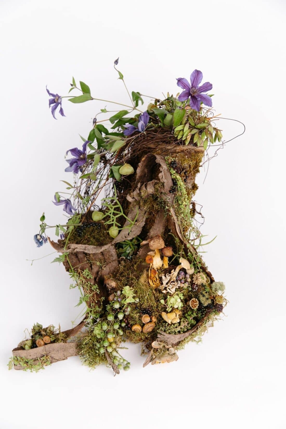 A vertical composition of woodland garden flora and fauna elements arranged artistically on a white background.