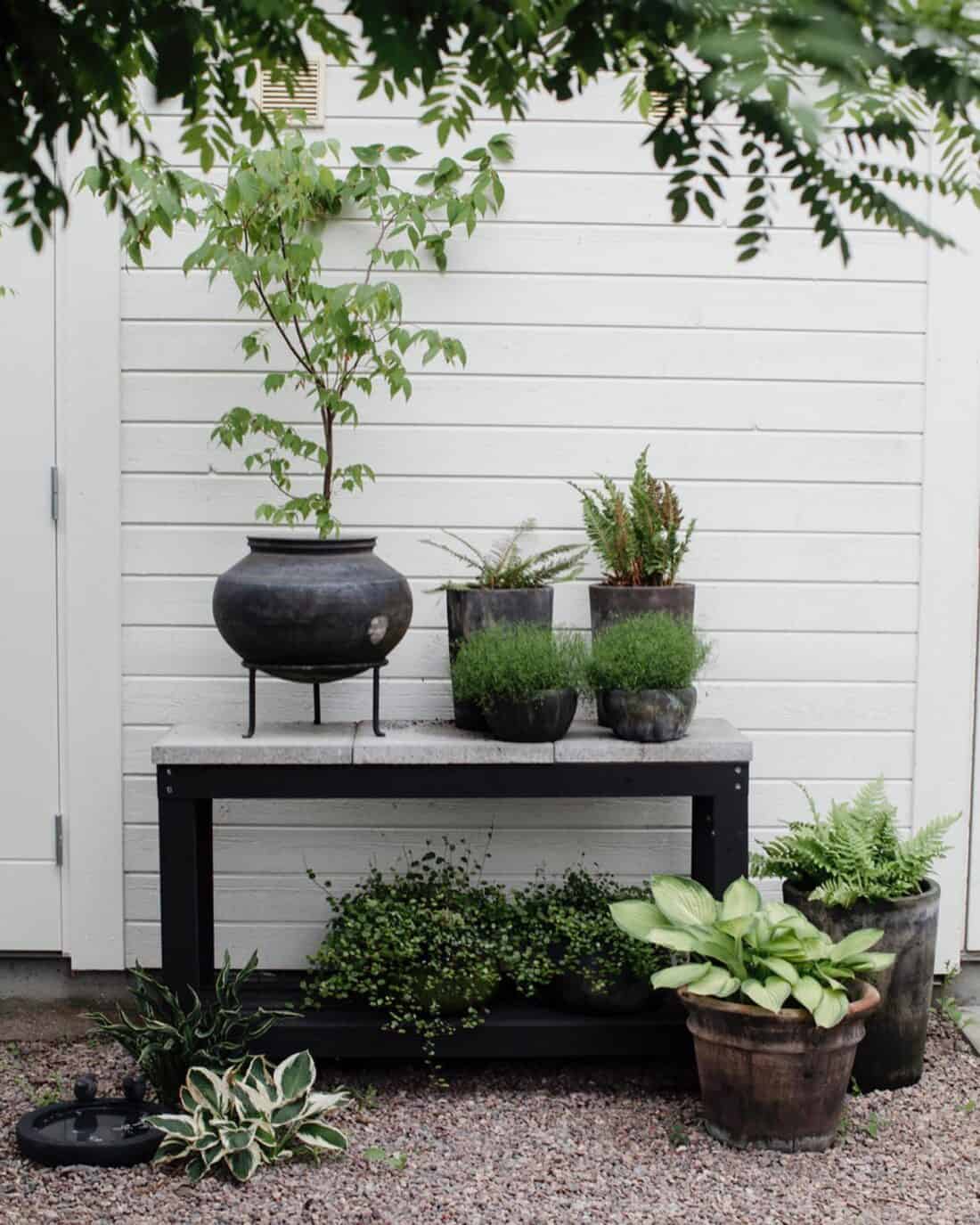 A modern outdoor setup featuring a variety of potted plants on a black bench against a white wooden wall.