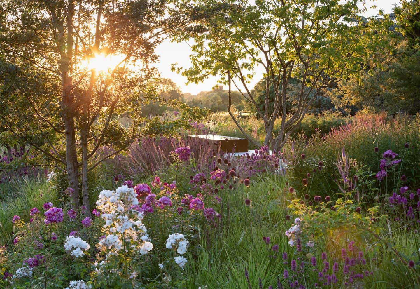 Sunset illuminates a lush garden designed for the senses, with colorful flowers and a small pond, creating a serene, natural landscape.