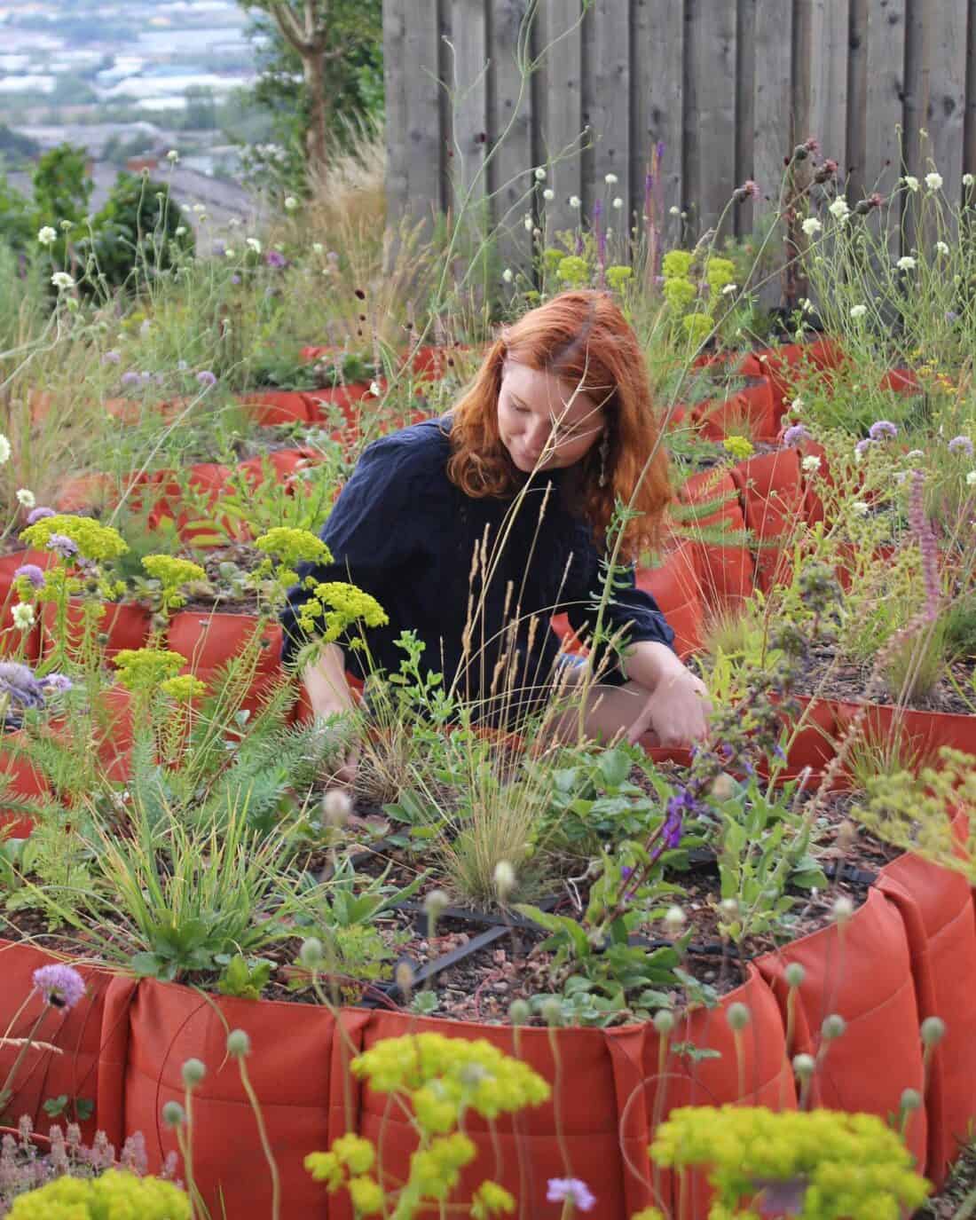 Woman tending to garden plants in raised beds.