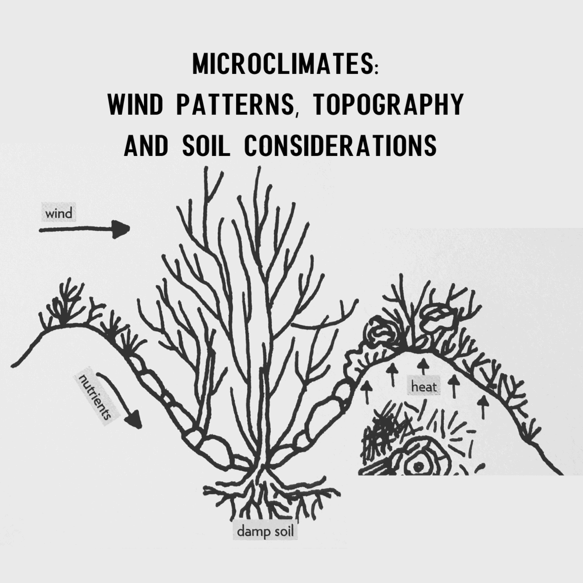 Diagram showing microclimates influenced by wind, soil type, and topography, illustrating how these factors affect plant growth.