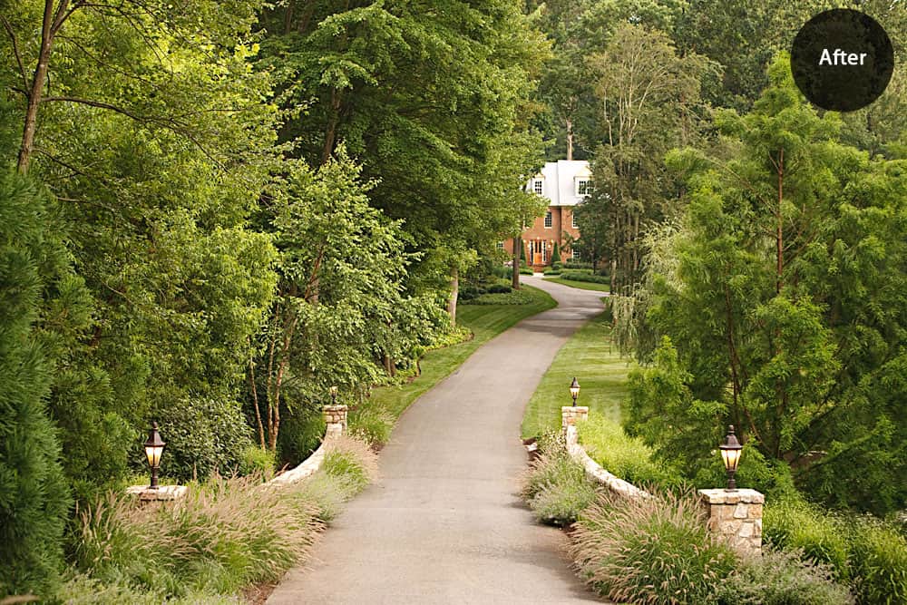 A tree-lined virginia driveway landscape with lit lamps on stone pillars leading to a distant house in Virginia, labeled "after.