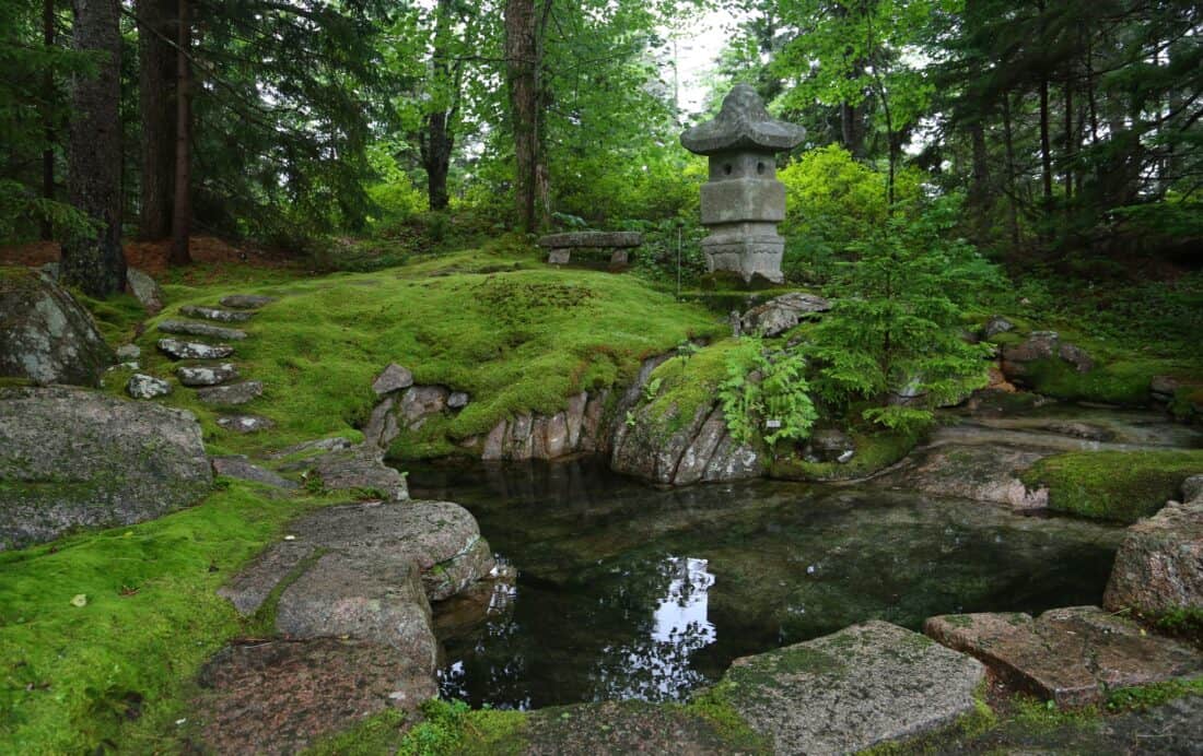 A serene japanese garden with moss-covered grounds, a stone lantern, and a small clear pond surrounded by trees.