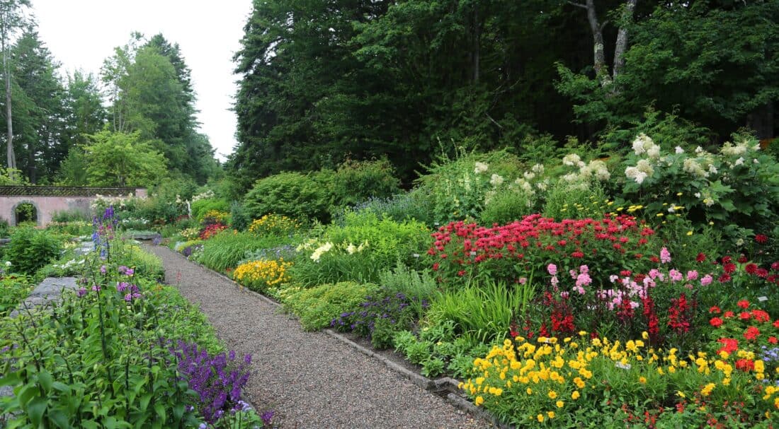 A vibrant garden path lined with assorted colorful flowers and lush greenery under a cloudy sky.
