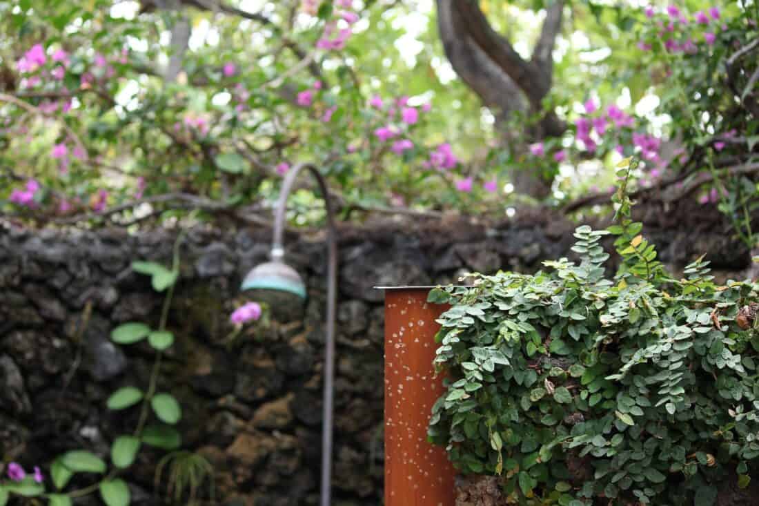 A tranquil garden scene showcasing an outdoor shower idea, featuring a rusty metal shower head attached to a stone wall, with a cascade of green ivy and pink flowers in the background.