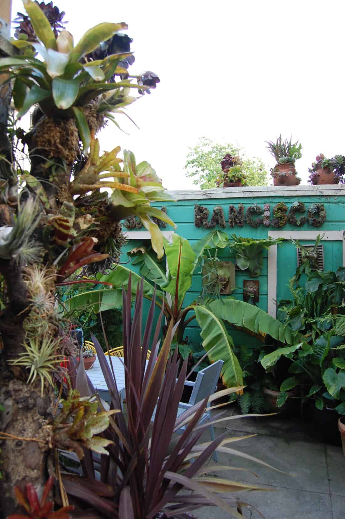 A succulent garden with various plants including bromeliads and large leafy greens. A rustic wooden sign reading 'Rancho' is visible in the background above a teal wooden structure.