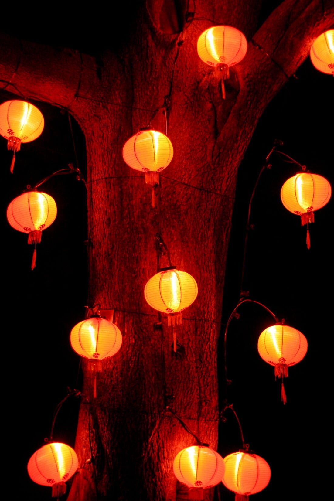 A tree trunk in the garden is adorned with multiple glowing red paper lanterns hanging from its branches. The lanterns cast a warm, festive light against the dark night background, creating an enchanting and vibrant display reminiscent of a Christian Dior fashion show.