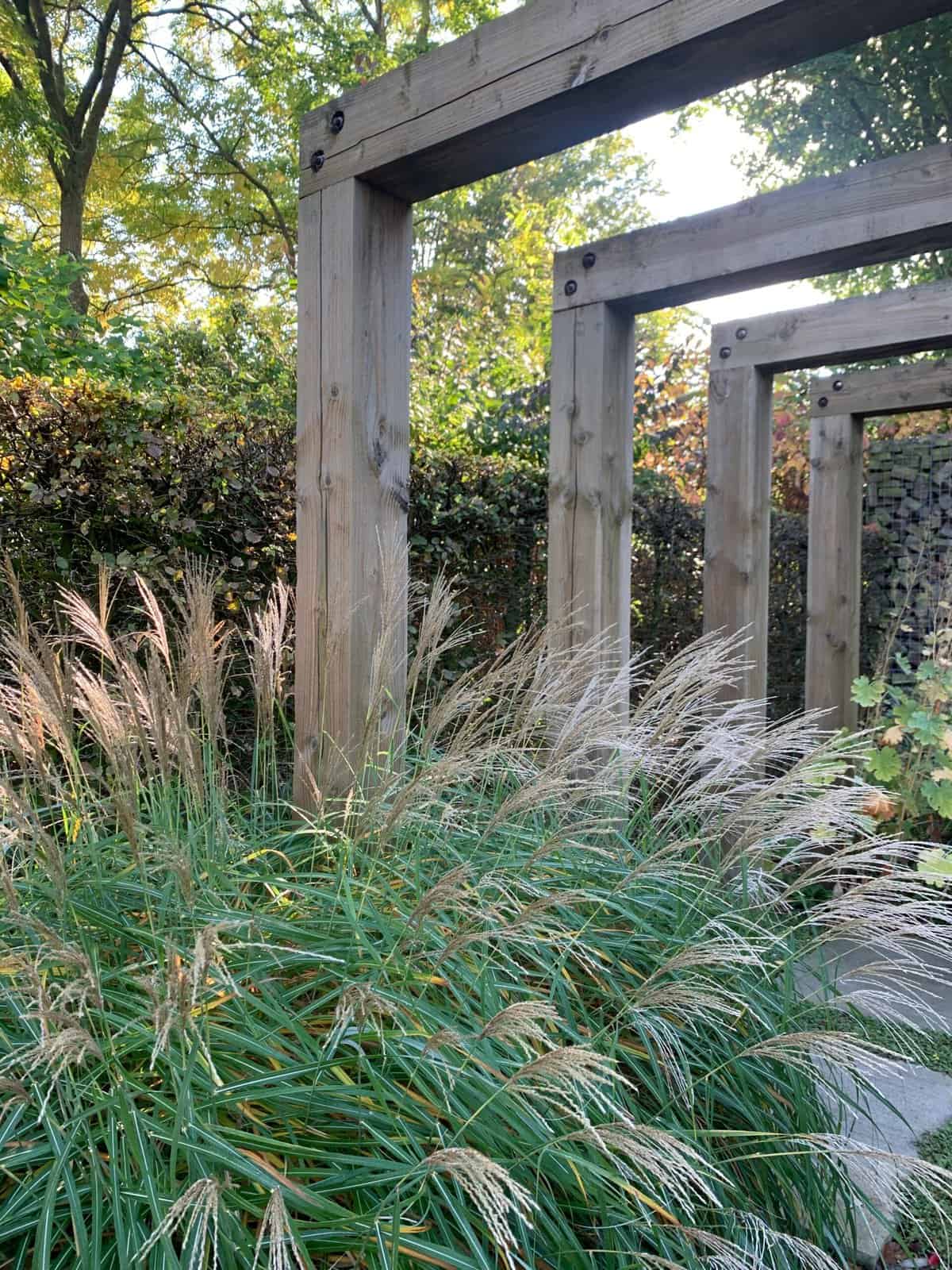 A lush garden scene features tall ornamental grasses in the foreground and several wooden pergola structures extending into the background. Surrounding foliage and trees add a variety of greens and autumnal hues, creating an inspiring space for ideation and fostering better ideas.