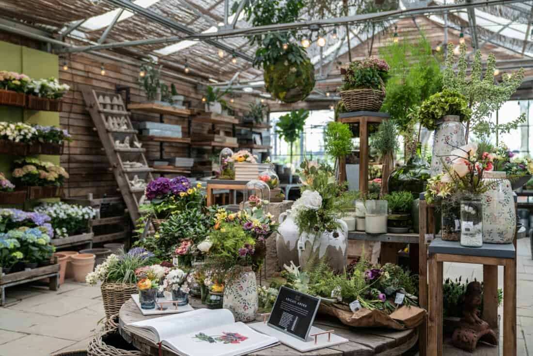 A cozy greenhouse interior filled with various potted plants and flowers, including hydrangeas, ferns, and succulents. Wooden shelves and tables display the plants, and an open book on planning a garden design lies on a round table in the foreground, adding to the rustic charm.